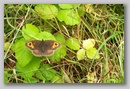 irland_129.jpg