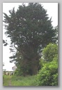 irland_131.jpg